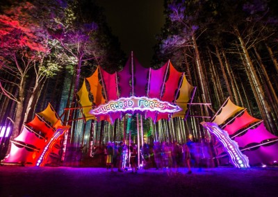 Photo Credit: http://www.electricforestfestival.com/